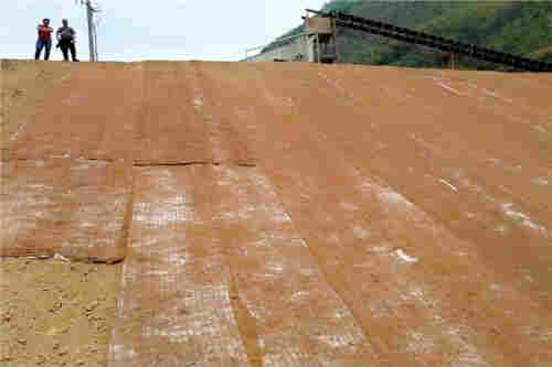 商洛屋顶植生毯——（咨询电话）