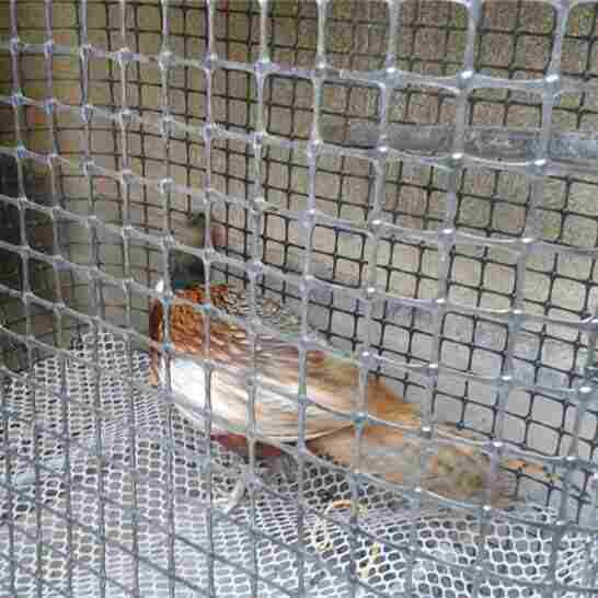 选(眉山市隔离网厂家)只选/眉山市有限公司