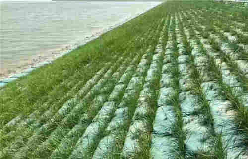 博乐生态袋厂家以客为尊