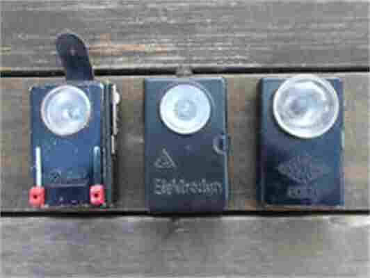 新品ELEKTRODYN电力变压器