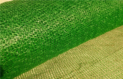 欢迎——阜阳边坡绿化三维植被网诚信厂家信誉保证