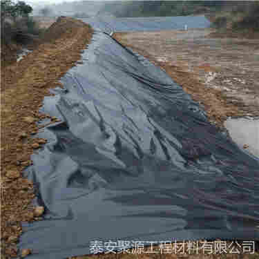 欢迎——延津防渗膜厂家——(延津)有限公司)欢迎您)