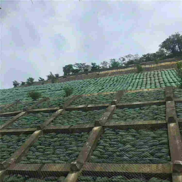 娄底生态袋厂家——(娄底)有限公司)欢迎您)