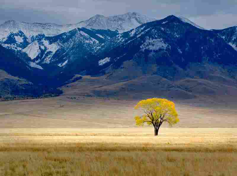 ZE-T101GN-6P/20A产品介绍