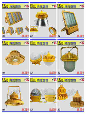 LED强光灯CS105050 