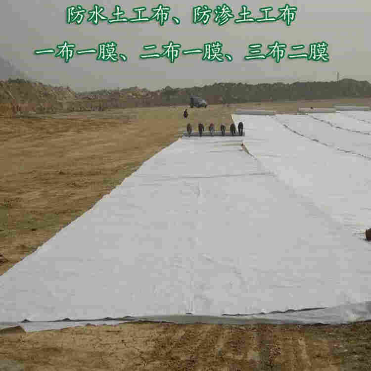 贵州复合土工膜 SN2/PE-7.5kN-0.3-500克 二布一膜防水土工布