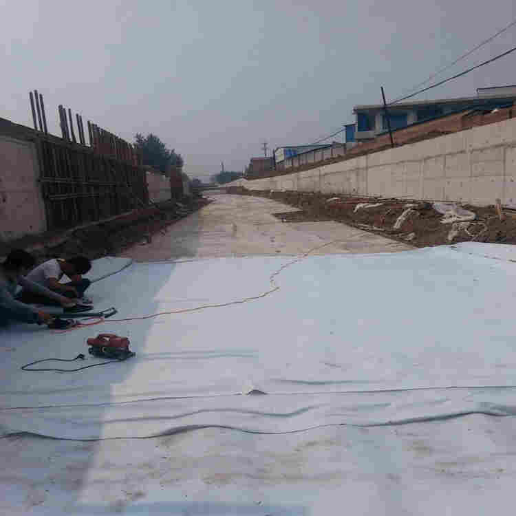 福建复合土工膜 500克SN2/pe二布一膜 防水土工布