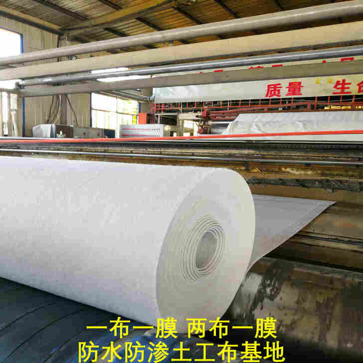 福建复合土工膜 500克SN2/pe二布一膜 防水土工布
