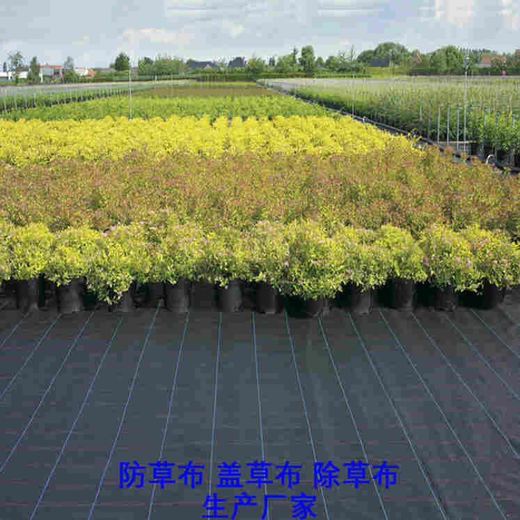 欢迎订购—河南果园防草布-透水保墒除草布-现货批发