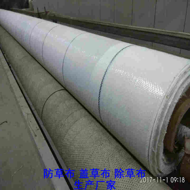 欢迎订购—安徽PE防草布-*除草材料-现货批发