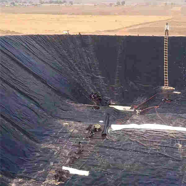 ：双鸭山复合土工膜厂家）——双鸭山欢迎您