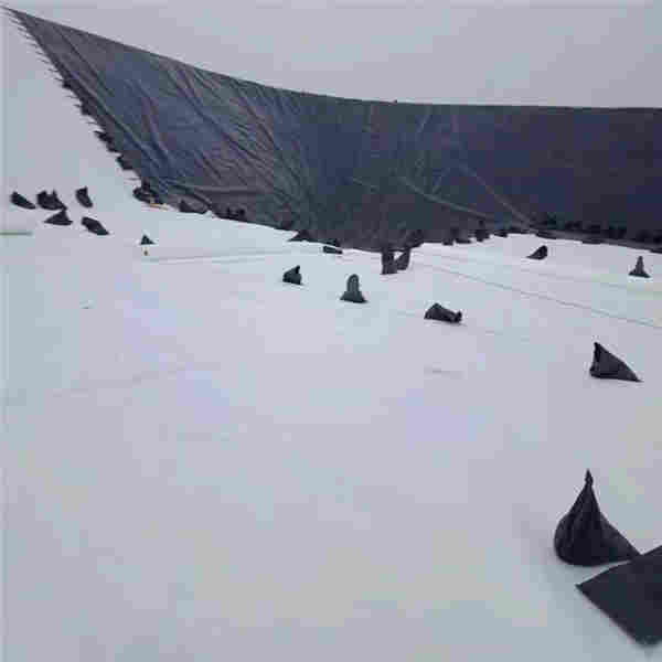 欢迎——阿里藕池防渗膜——厂家（公司）欢迎您