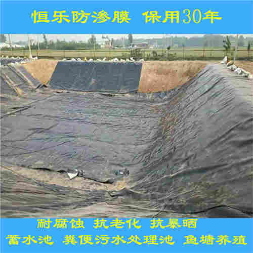 欢迎——毕节藕池防渗膜——厂家（公司）欢迎您