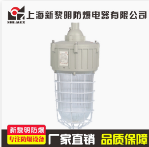 BAD82系列防爆照明灯生产厂家