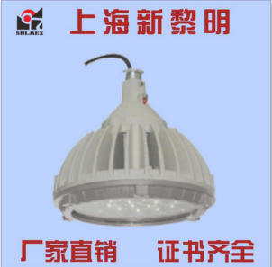 BAD82系列防爆照明灯生产厂家