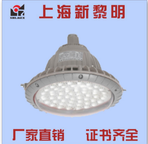BAD82系列防爆照明灯生产厂家