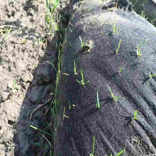 崇左-土工袋厂家-欢迎实地考察