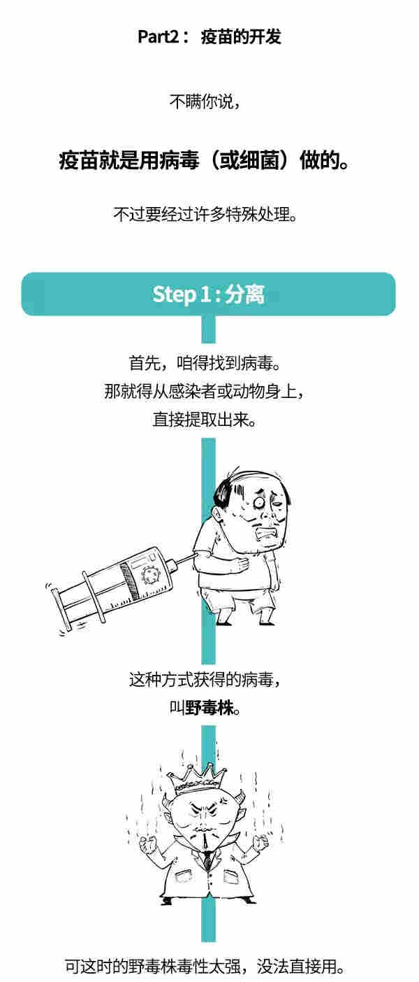 *冠状病毒疫苗离我们还有多远