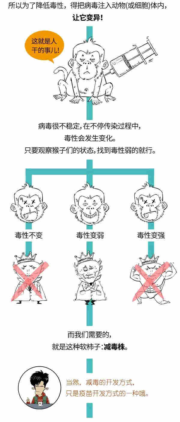 *冠状病毒疫苗离我们还有多远