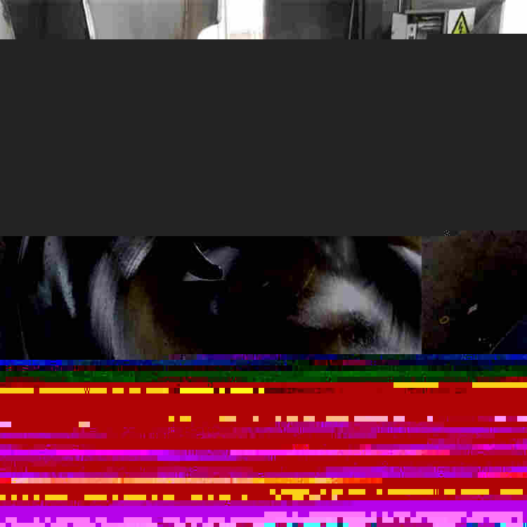 高速斩拌机生产厂商