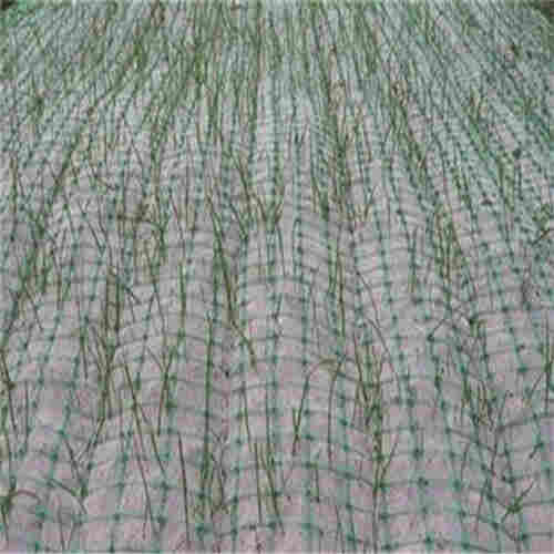 （/三维护坡生态椰丝抗冲毯----鞍山市椰丝毯现货批发/）