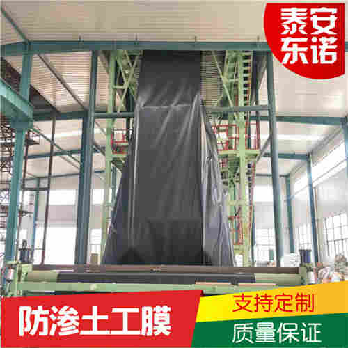 汉中市地面防渗土工膜-支持定制