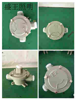 SES3100-J1000W防震投光灯