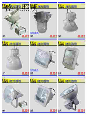 SES3100-J1000W防震投光灯