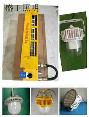 手持式防爆电筒RWX7300B RWX7300B