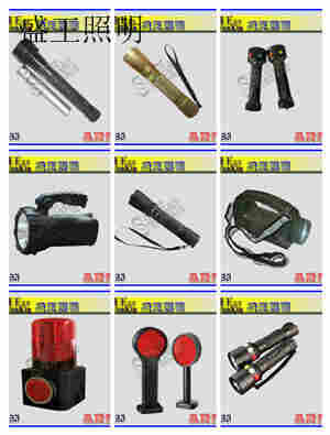 TMN5101移动防爆工作灯