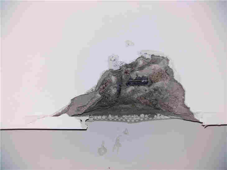秀洲区厂房安全检测鉴定优惠到底-宝利检测