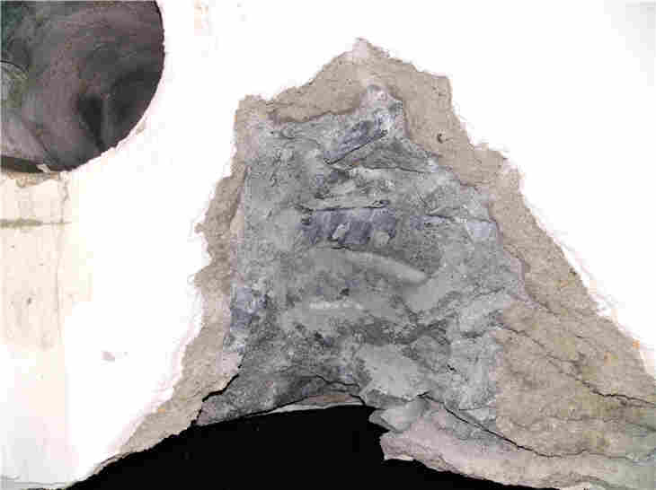 桂平市房屋鉴定公平公正单位