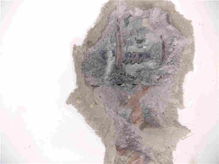 两当县钢结构厂房安全检测鉴定-宝利检测