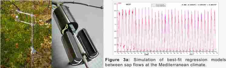 树木表型监测——树木茎流与生长监测案例快讯
