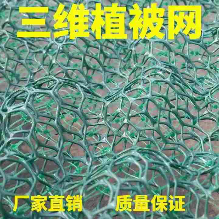 淮南三维植被网---//淮南厂家