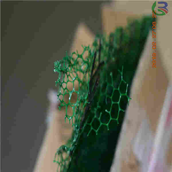 欢迎光临——玉林三维植被网厂家——欢迎您！