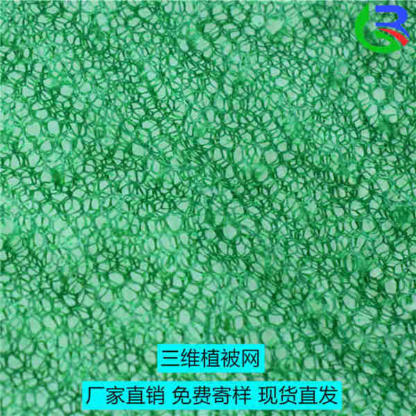 欢迎光临——宁德植被网厂家——集团）有限公司