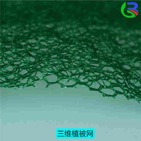 欢迎光临——枣庄植被网厂家——集团）有限公司