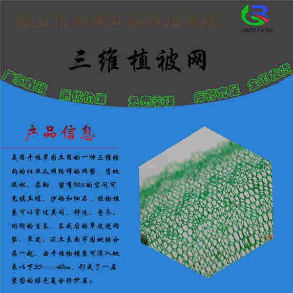 欢迎光临——宁德三维植被网厂家——集团）有限公司