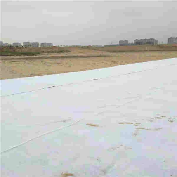 ：达州土工布厂家——达州欢迎您