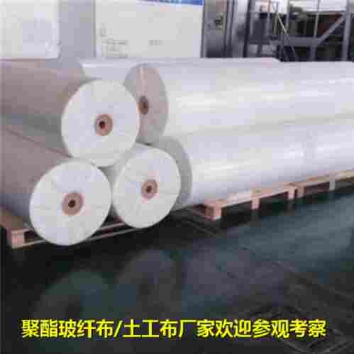 河南省--聚酯防裂布厂家--边坡固土塑料格栅