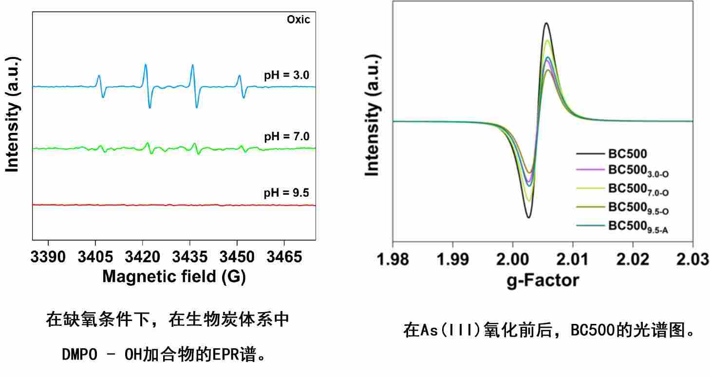 电子顺磁性共振（EPR/ESR）