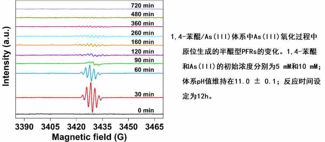 电子顺磁性共振（EPR/ESR）