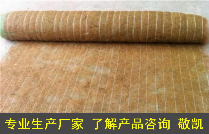 椰丝纤维保水草毯坡面施工/价格-生态毯/植生毯