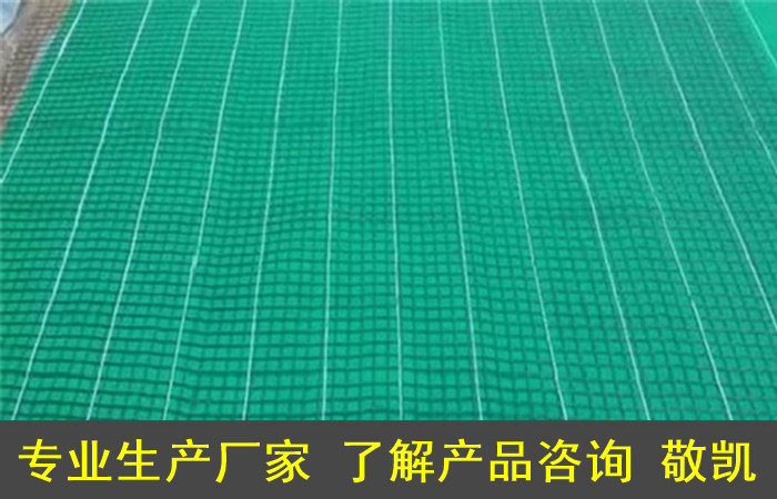 椰丝纤维保水草毯坡面施工/价格-生态毯/植生毯