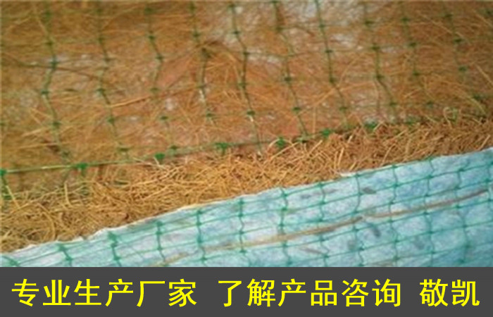 椰丝纤维植生毯批发/-生态毯/植生毯