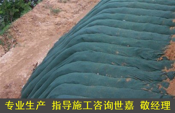 （葫芦岛护坡种植袋护坡施工图片）——河道护坡生态袋/实力厂家）