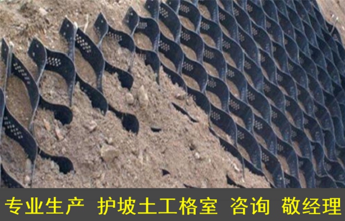 （锦州HDPE土工格室价格）——塑料格网网）