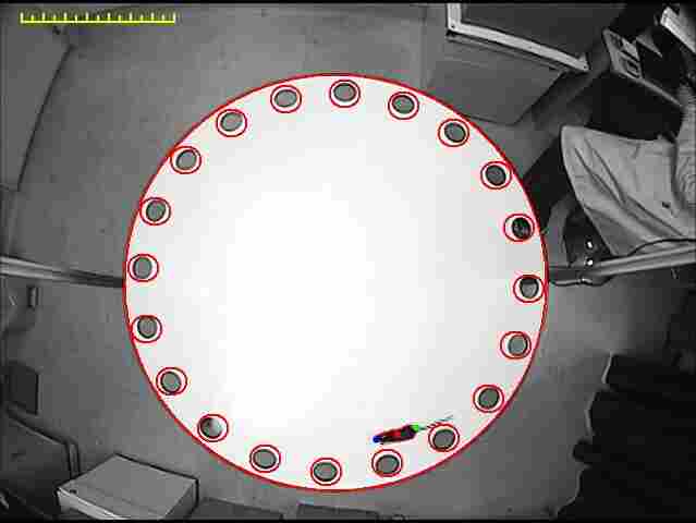 什么是动物旁观电击实验？旁观电击急性心理应激对动物学记忆能力的影响