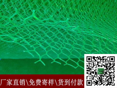 荆州三维植被网价格荆州欢迎您！